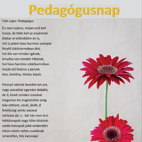 Pedaggusnap - jnius els vasrnapja